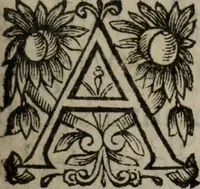 Picture 77 of 135 from Les recherches des Recherches [et] autres oeuures de me Estienne Pasqvier, pour la defense de nos roys, contre les outrages, calomnies, [et] autres impertinences dudit autheur .. (1622), leaf 552