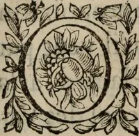 Picture 83 of 135 from Les recherches des Recherches [et] autres oeuures de me Estienne Pasqvier, pour la defense de nos roys, contre les outrages, calomnies, [et] autres impertinences dudit autheur .. (1622), leaf 601