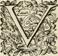 Picture 6 of 24 from Les réjoüissances de la paix, faites dans la ville de Lyon le 20. mars 1660 (1660), leaf 10