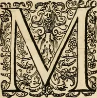 An illustration from Les réjoüissances de la paix, faites dans la ville de Lyon le 20. mars 1660 (1660)
