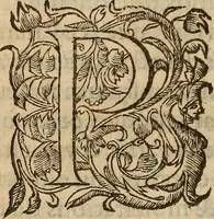 Picture 19 of 40 from Les remonstrances faictes av Roy loys vnzieme, svr les priuileges de l'Eglise Gallicane, & les plainctifs & doleances du peuple. .. (1561), leaf 173