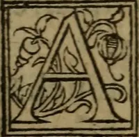 Picture 29 of 40 from Les remonstrances faictes av Roy loys vnzieme, svr les priuileges de l'Eglise Gallicane, & les plainctifs & doleances du peuple. .. (1561), leaf 242