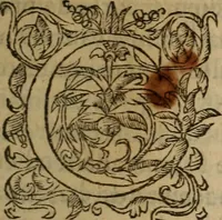 An illustration from Les remonstrances faictes av Roy loys vnzieme, svr les priuileges de l'Eglise Gallicane, & les plainctifs & doleances du peuple. .. (1561)