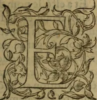 Picture 4 of 40 from Les remonstrances faictes av Roy loys vnzieme, svr les priuileges de l'Eglise Gallicane, & les plainctifs & doleances du peuple. .. (1561), leaf 6