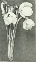 An illustration from Les Salons d'architecture (1907)