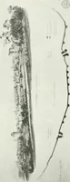 An illustration from Les Salons d'architecture (1907)