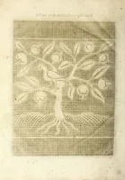 Picture 7 of 7 from Les secondes oeuures et subtiles inuentions de lingerie du seigneur Federic de Vinçiolo Venitien : nouuellement augmenté de plusieurs carrez de point de rebort, ou sont representees plusieurs figures de reseau, nombres de carrez & bordures tous differents, le tout de poinct conté, auec autres sortes de carrez de nouuelle inuention non encores vues (1603), leaf 132