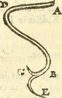 An illustration from Les secrets et merueilles de nature, recueillis de diuers autheurs & diuisez en XVII. liures (1586)