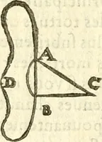 Picture 56 of 59 from Les secrets et merueilles de nature, recueillis de diuers autheurs & diuisez en XVII. liures (1586), leaf 1163