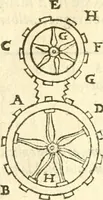 An illustration from Les secrets et merueilles de nature, recueillis de diuers autheurs & diuisez en XVII. liures (1586)