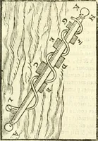 An illustration from Les secrets et merueilles de nature, recueillis de diuers autheurs & diuisez en XVII. liures (1586)