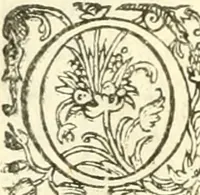 An illustration from Les secrets et merueilles de nature, recueillis de diuers autheurs & diuisez en XVII. liures (1586)