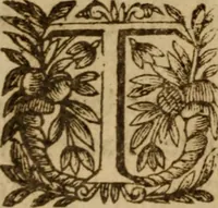 An illustration from Les sept livres d'Aphorismes du grand Hippocrate en latin et en françois : enrichis de tres-beaux et tres-doctes discours en forme de paraphrases, et d'explications tres-judicieuses prises des anciens & nouveaux autheurs ... (1645)