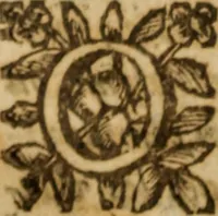 Picture 233 of 260 from Les sept livres d'Aphorismes du grand Hippocrate en latin et en françois : enrichis de tres-beaux et tres-doctes discours en forme de paraphrases, et d'explications tres-judicieuses prises des anciens & nouveaux autheurs ... (1645), leaf 881