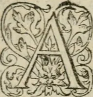 An illustration from Les sermons et instructions chrestiennes pour tous les iours de l'Advent, iusques à Noel: & de tous les Dimenches & festes, depuis Noel iusques à Caresme : enrichis de quatre sermons non encores par cy devant imprimez: desquels est faicte mention en la page suivante (1566)