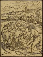 Picture 39 of 51 from Les simulachres & historiees faces de la mort, autant elegamme[n]t pourtraictes, que artificiellement imaginées (1538), leaf 60