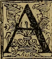 An illustration from Les simulachres & historiees faces de la mort, autant elegamme[n]t pourtraictes, que artificiellement imaginées (1538)