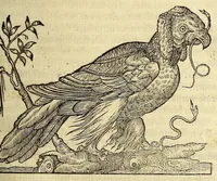 Picture 5 of 25 from Les singularitez de la France Antarctique, autrement nommée Amerique: & de plusieurs terre & isles decouuerte de nostre temps. (1558), leaf 111