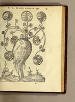 Picture 8 of 25 from Les singularitez de la France Antarctique, autrement nommée Amerique: & de plusieurs terre & isles decouuerte de nostre temps. (1558), leaf 127