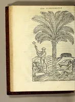 Picture 11 of 25 from Les singularitez de la France Antarctique, autrement nommée Amerique: & de plusieurs terre & isles decouuerte de nostre temps. (1558), leaf 166
