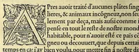 An illustration from Les singularitez de la France Antarctique, autrement nommée Amerique: & de plusieurs terre & isles decouuerte de nostre temps. (1558)