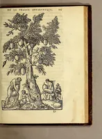 An illustration from Les singularitez de la France Antarctique, autrement nommée Amerique: & de plusieurs terre & isles decouuerte de nostre temps. (1558)