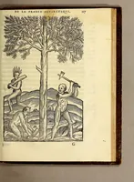 Picture 18 of 25 from Les singularitez de la France Antarctique, autrement nommée Amerique: & de plusieurs terre & isles decouuerte de nostre temps. (1558), leaf 255