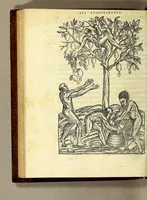 Picture 19 of 25 from Les singularitez de la France Antarctique, autrement nommée Amerique: & de plusieurs terre & isles decouuerte de nostre temps. (1558), leaf 262