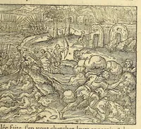 Picture 24 of 25 from Les singularitez de la France Antarctique, autrement nommée Amerique: & de plusieurs terre & isles decouuerte de nostre temps. (1558), leaf 337