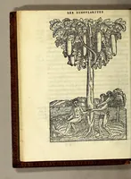 Picture 3 of 25 from Les singularitez de la France Antarctique, autrement nommée Amerique: & de plusieurs terre & isles decouuerte de nostre temps. (1558), leaf 58