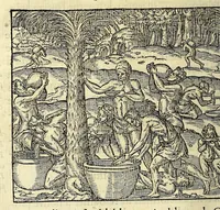 Picture 4 of 25 from Les singularitez de la France Antarctique, autrement nommée Amerique: & de plusieurs terre & isles decouuerte de nostre temps. (1558), leaf 62