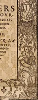 An illustration from Les singvliers et novveavx povrtraicts (1589)