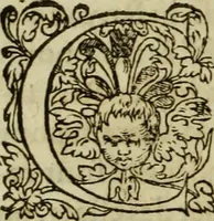 An illustration from Les six liures de la republique (1577)