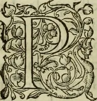Picture 13 of 47 from Les six liures de la republique (1577), leaf 167