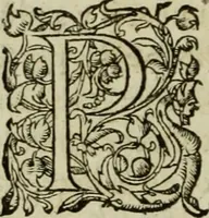An illustration from Les six liures de la republique (1577)