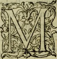 An illustration from Les six liures de la republique (1577)
