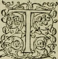 An illustration from Les six liures de la republique (1577)