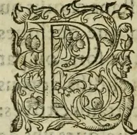 An illustration from Les six liures de la republique (1577)