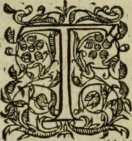 An illustration from Les six liures de la republique (1577)