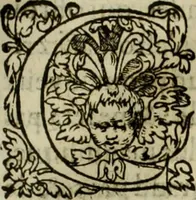 An illustration from Les six liures de la republique (1577)