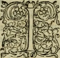 An illustration from Les six liures de la republique (1577)