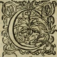 An illustration from Les six liures de la republique (1577)