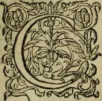 An illustration from Les six liures de la republique (1577)
