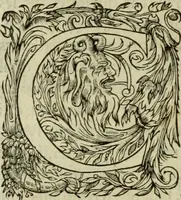 An illustration from Les six liures de la republique (1577)