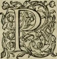 An illustration from Les six liures de la republique (1577)