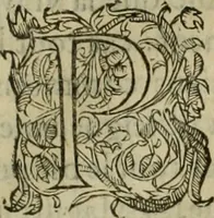 An illustration from Les six liures de la republique (1577)