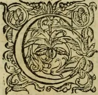 An illustration from Les six liures de la republique (1577)
