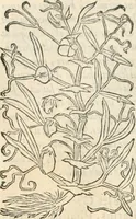 Picture 74 of 339 from [Les six livres de Pedacion Dioscoride d'Anazarbe de la matiere medicinale : translatez de latin en françois : a chacun chapitre sont aioustees certaines annotations fort doctes, & recueillies des plus excellens medecins, anciens, & modernes (1553), leaf 141