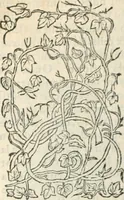 Picture 147 of 339 from [Les six livres de Pedacion Dioscoride d'Anazarbe de la matiere medicinale : translatez de latin en françois : a chacun chapitre sont aioustees certaines annotations fort doctes, & recueillies des plus excellens medecins, anciens, & modernes (1553), leaf 179