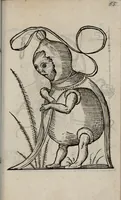 Picture 1 of 9 from Les songes drolatiqves de Pantagrvel : où sont contenues plusieurs figures de l'inuention de maitre François Rabelais & derniere œuure d'iceluy pour la recreation des bons esprits (1565), leaf 65